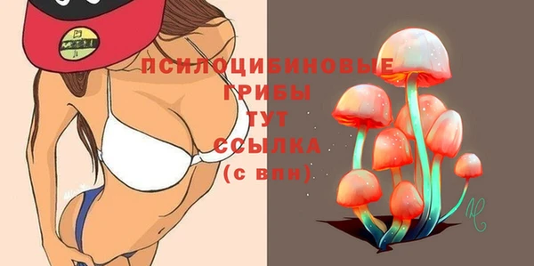 дмт Алзамай