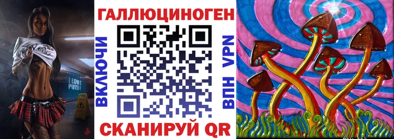 kraken вход  магазин продажи наркотиков  Нягань  Галлюциногенные грибы Cubensis 
